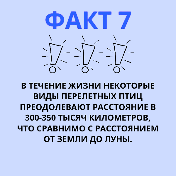 8 1715565570147 (1).jpg